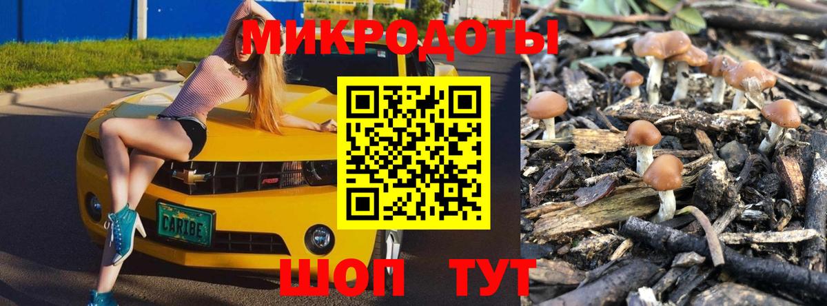 Галлюциногенные грибы MAGIC MUSHROOMS Мирный