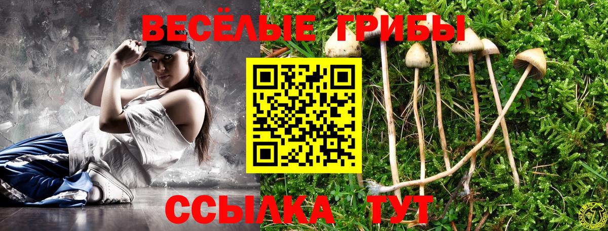 Псилоцибиновые грибы Magic Shrooms  Вход с VPN  Мирный 